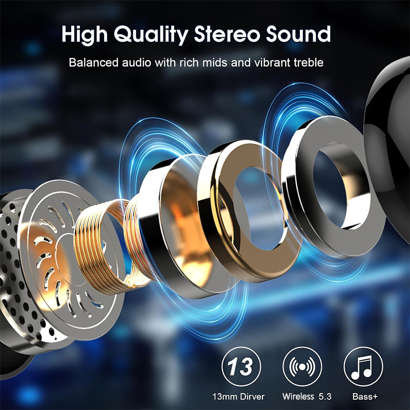 Auriculares inalámbricos T6 Bl - Earbuds Anc Wireless reseña y precio
